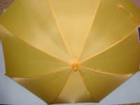 【傘】保育園 幼稚園 低学年用 傘 WATER DROP 傘