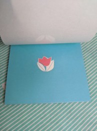 【折り紙】CHIKYU CARD フラワーおりがみ 6種 内容