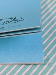 【折り紙】CHIKYU CARD フラワーおりがみ 6種 拡大