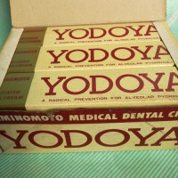【歯磨き粉】KAMINOMOTO ヨドヤ 薬用練歯磨 箱中身