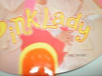 【うちわ】PINK LADY ピンクレディー copy right