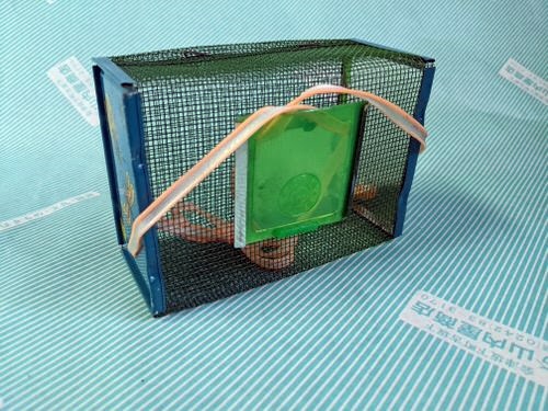 【虫カゴ】金網　昆虫採集用　虫籠 蛍かご