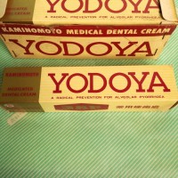 【歯磨き粉】KAMINOMOTO ヨドヤ 薬用練歯磨 箱